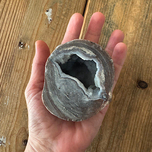 Geode Dugway Agaat Thunder Egg 1 Utah USA