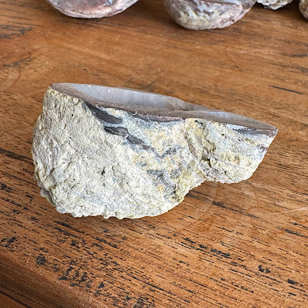 Geode Dugway Agaat Thunder Egg 2 Utah USA blauw grijs kristallen