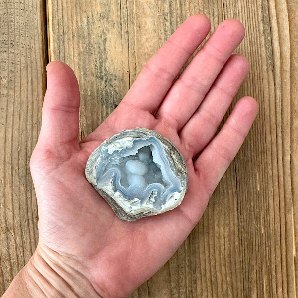 Geode Dugway Agaat Thunder Egg 4 Utah USA edelstenenmineralenwinkel.nl