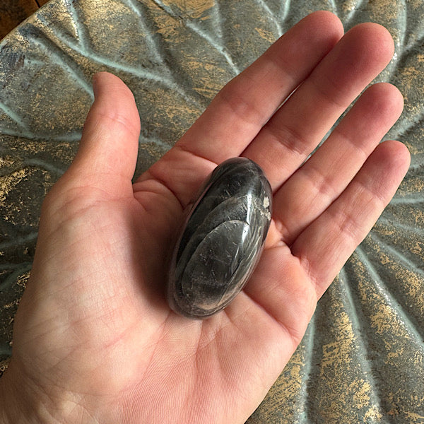 Maansteen Zwart Gepolijst hand steen