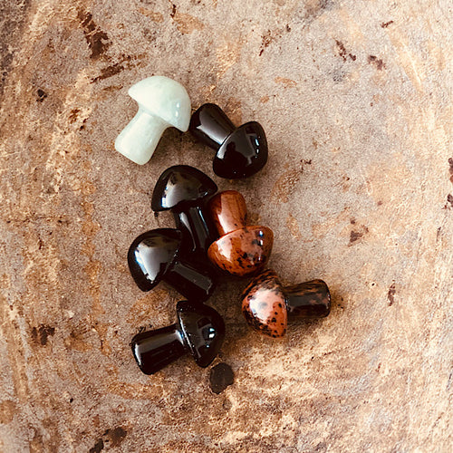 aventurijn Obsidiaan Kleine Paddestoel gepolijst