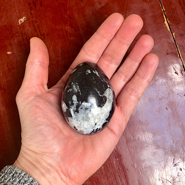 Orthoceras Gepolijst Ei nr.2 fossiel zwart wit inktvis