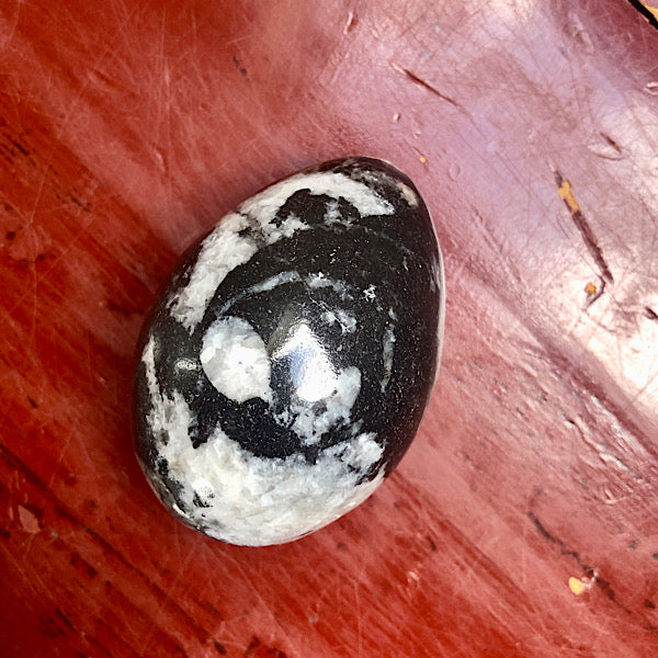 Orthoceras Gepolijst Ei nr.2 fossiel zwart wit inktvis