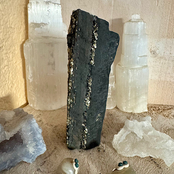 Pyriet op Shungiet Ruw A zwarte mineralen