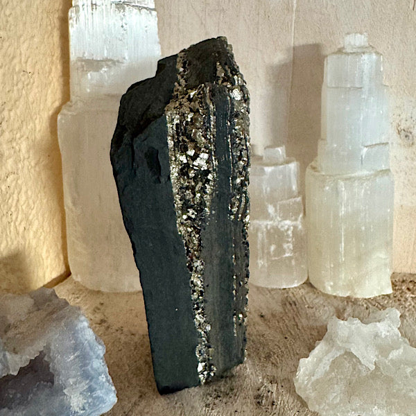 Pyriet op Shungiet Ruw A zwarte mineralen goud