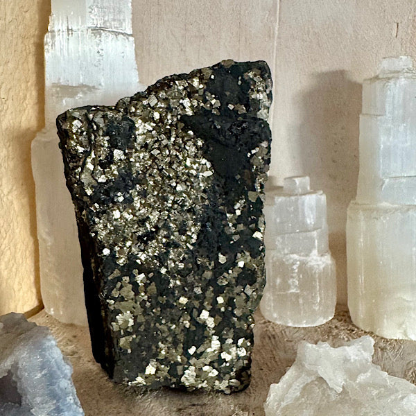 Pyriet op Shungiet Ruw A zwarte en gouden mineralen