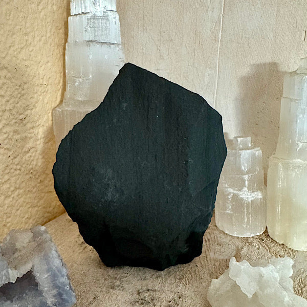 Pyriet op Shungiet Ruw B zwarte mineralen