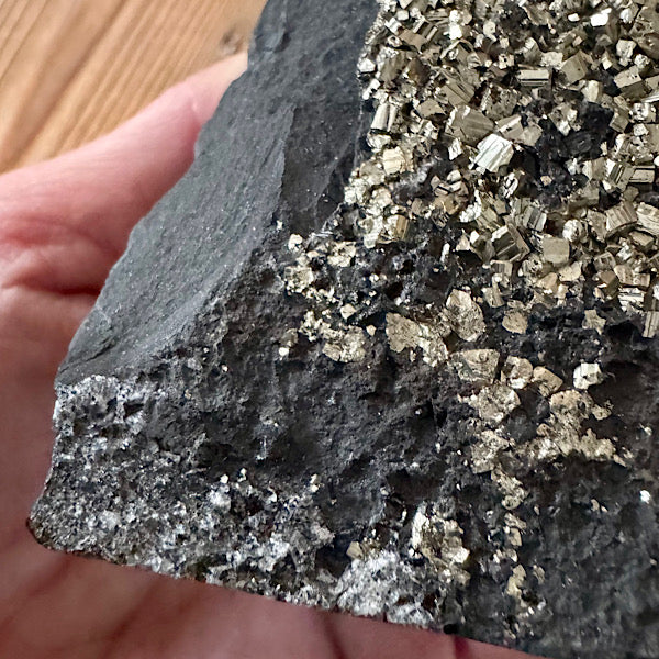 Pyriet op Shungiet Ruw C zwarte en gouden mineralen