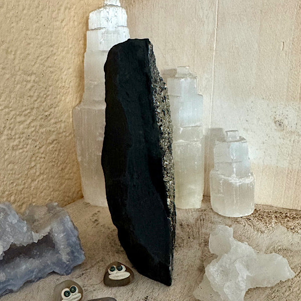 Pyriet op Shungiet Ruw C zwarte en gouden mineralen