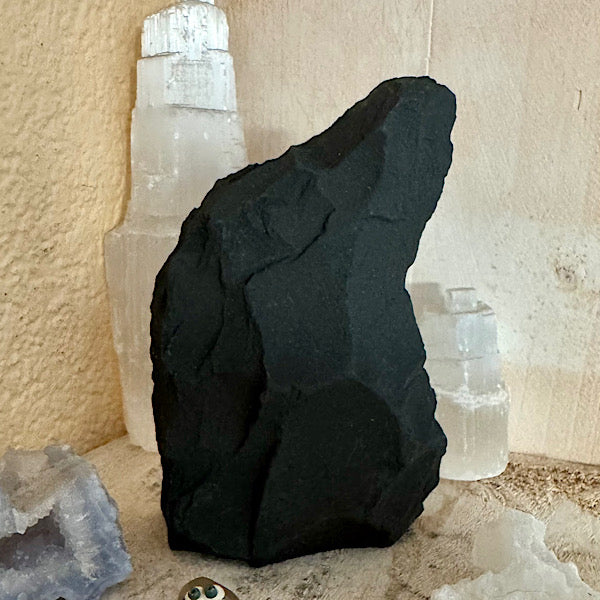 Pyriet op Shungiet Ruw C zwarte en gouden mineralen