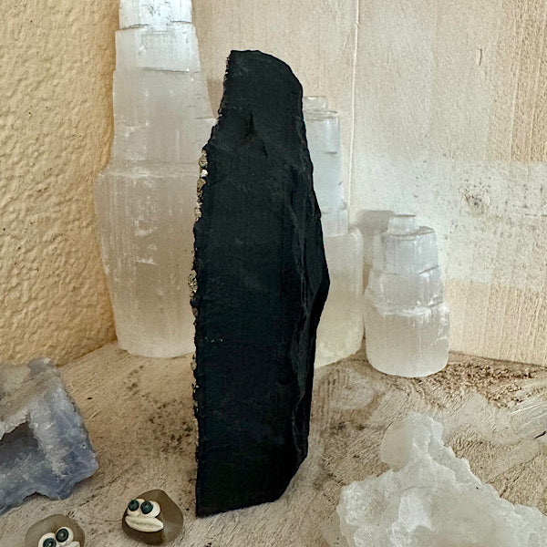 Pyriet op Shungiet Ruw C zwarte en gouden mineralen