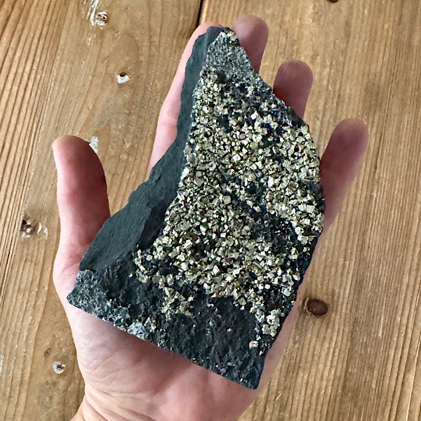 Pyriet op Shungiet Ruw C zwarte mineralen