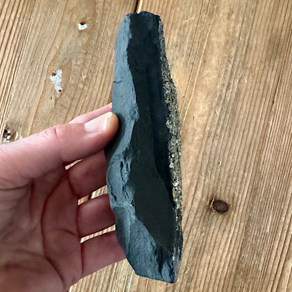 Pyriet op Shungiet Ruw C zwarte en gouden mineralen