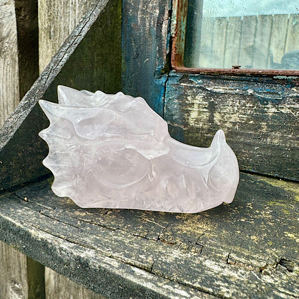 Draken schedel rozekwarts rozenkwarts skull edelstenenmineralenwinkel