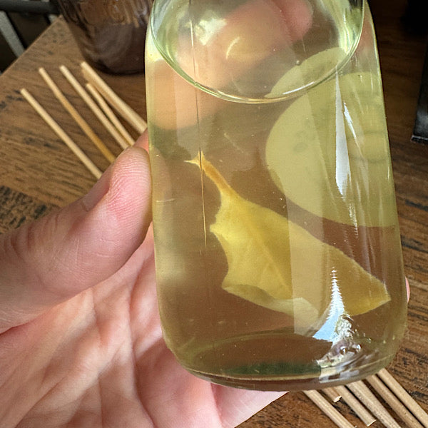 Salie Wit Geur Stokjes Flesje