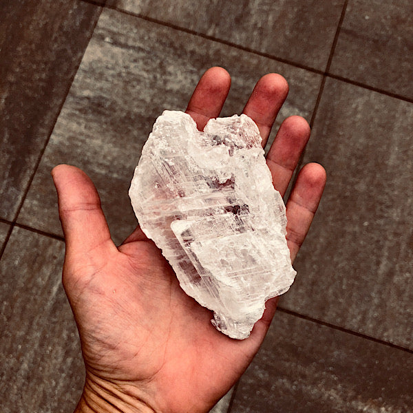 Seleniet helder Fishtail plak Nr1 mineralen kristallen