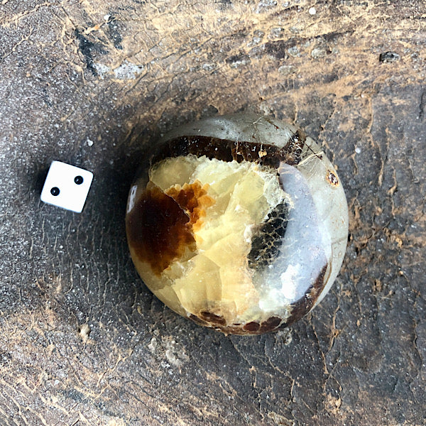 Septarie of Septaria HandSteen Gepolijst nr2 draken steen