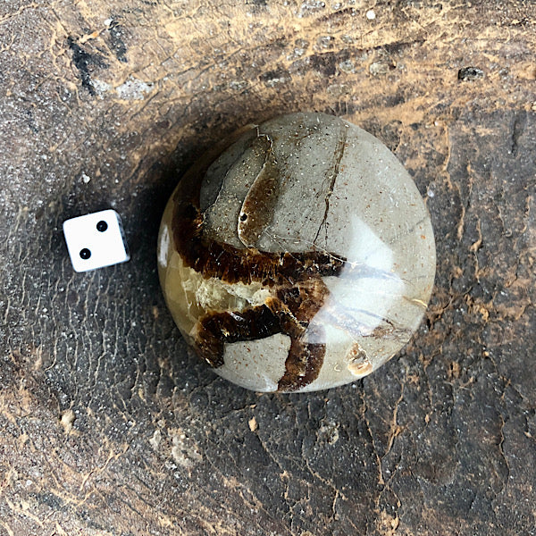 Septarie of Septaria HandSteen Gepolijst nr2 draken steen