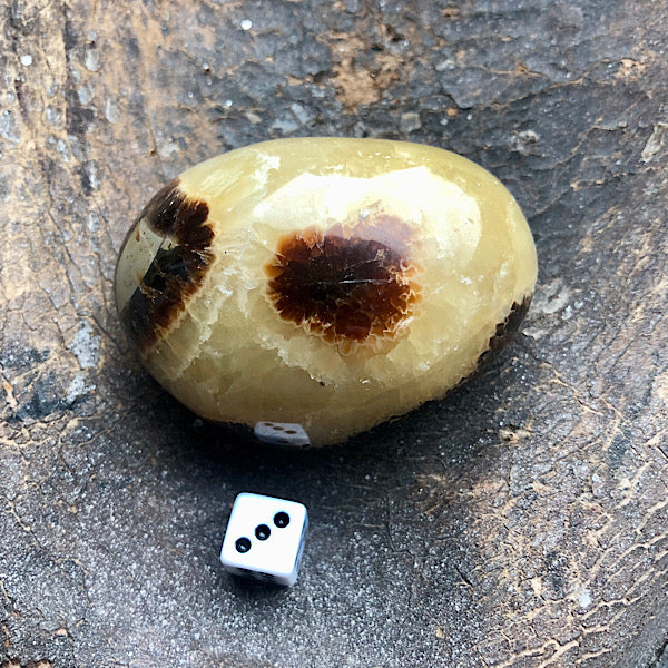 Septarie of Septaria HandSteen Gepolijst nr3 draken steen