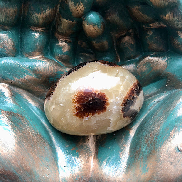 Septarie of Septaria HandSteen Gepolijst nr3 draken steen