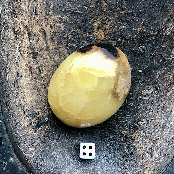 Septarie of Septaria HandSteen Gepolijst nr4 draken steen