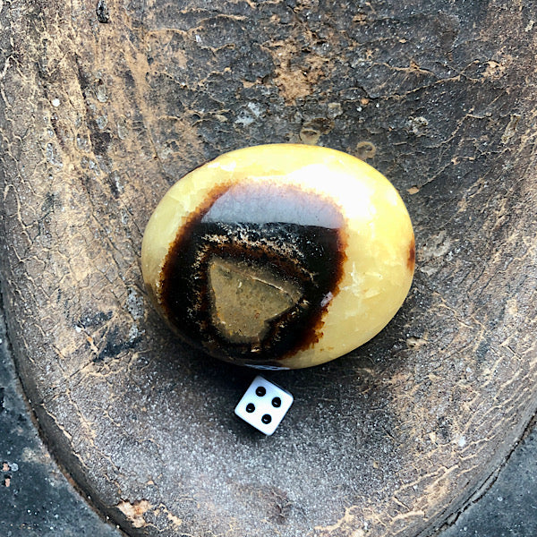 Septarie of Septaria HandSteen Gepolijst nr4 draken steen