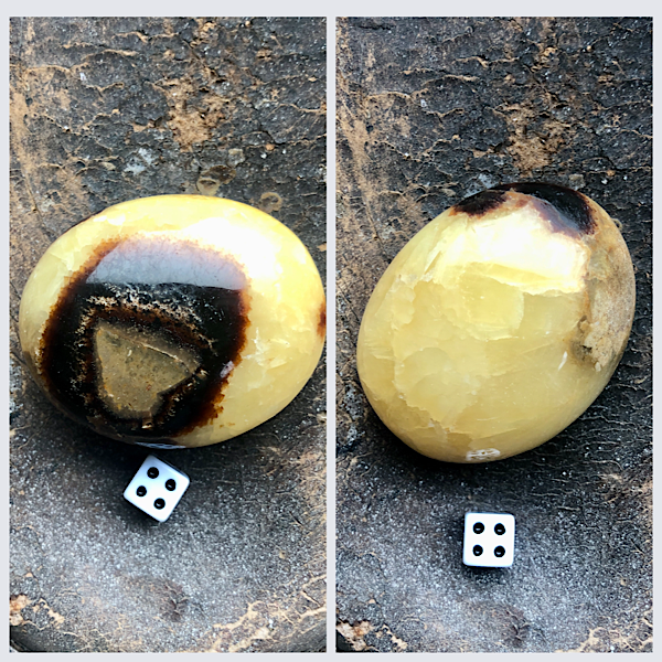 Septarie of Septaria HandSteen Gepolijst nr4 draken steen