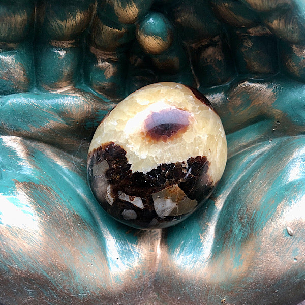 Septarie of Septaria HandSteen Gepolijst draken steen