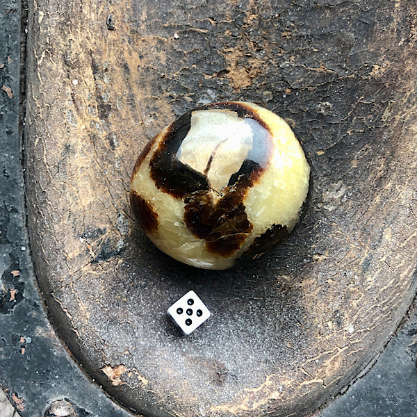 Septarie of Septaria HandSteen Gepolijst draken steen