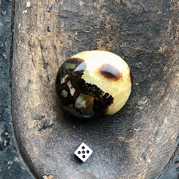 Septarie of Septaria HandSteen Gepolijst draken steen