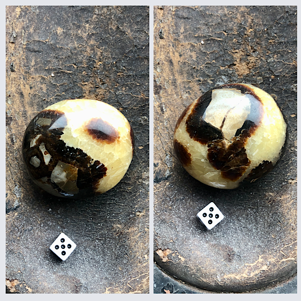 Septarie of Septaria HandSteen Gepolijst draken steen