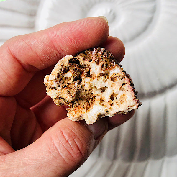 Vanadeniet chocolade ruw de schatkamer mineralen rood