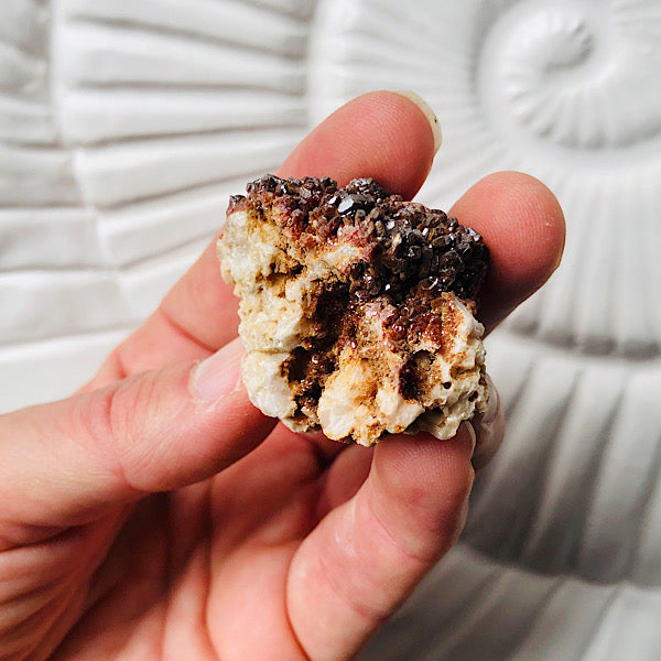 Vanadeniet chocolade ruw de schatkamer mineralen rood