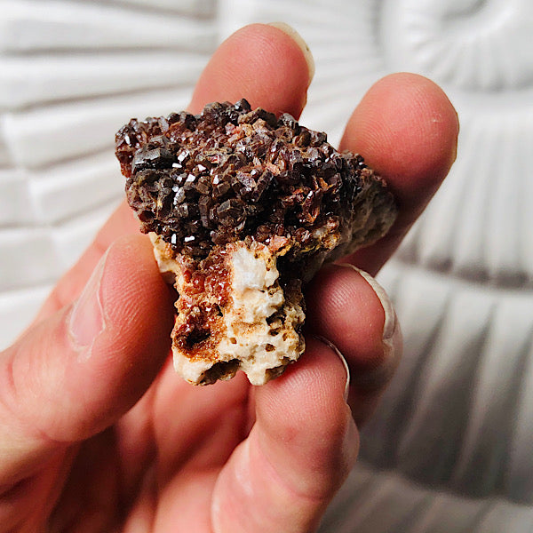 Vanadeniet chocolade ruw de schatkamer mineralen rood