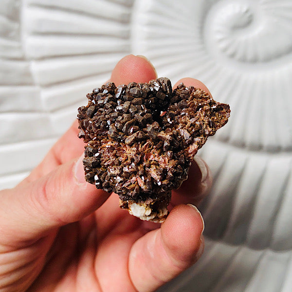 Vanadeniet chocolade ruw de schatkamer mineralen rood