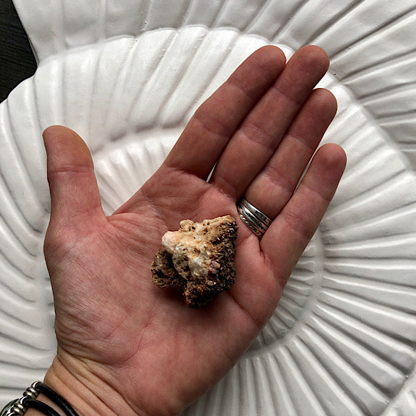 Vanadeniet chocolade ruw de schatkamer mineralen rood