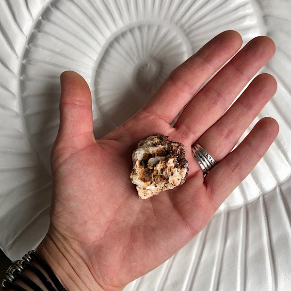 Vanadeniet chocolade ruw de schatkamer mineralen rood