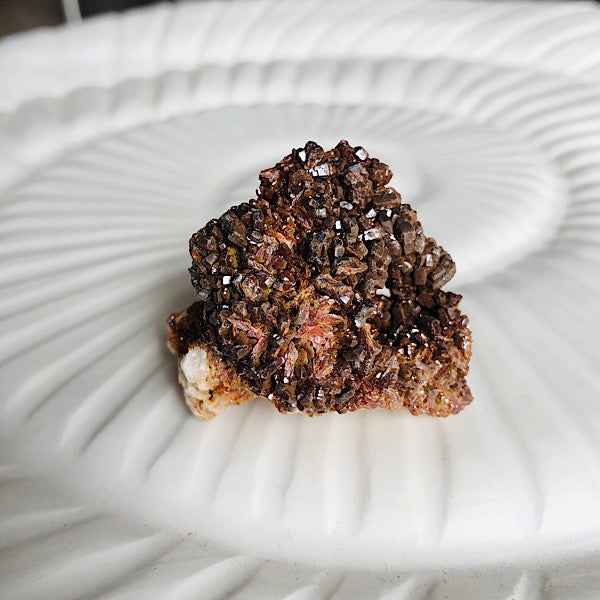 Vanadeniet chocolade ruw de schatkamer mineralen rood