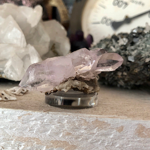 Vera Cruz ruw Clustertje Las Vigas Mixico nr2