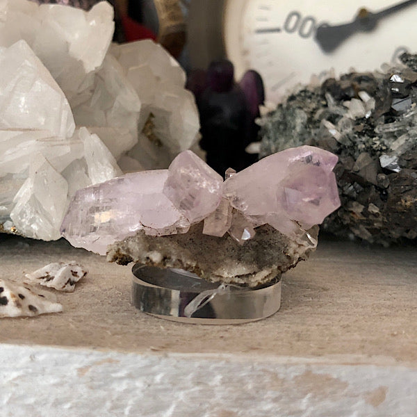 Vera Cruz ruw Clustertje Las Vigas Mixico nr2