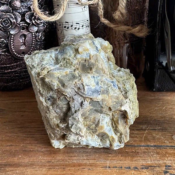 Versteend Hout Chalcedoon Indonesië Geagattiseerd Botryoidal agaat