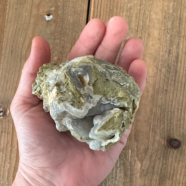 Versteend Hout Chalcedoon Indonesië Geagattiseerd Botryoidal agaat