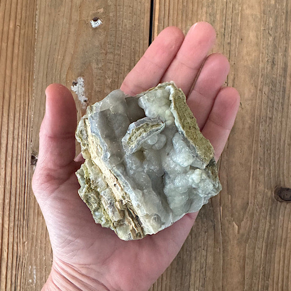 Versteend Hout Chalcedoon Indonesië Geagattiseerd Botryoidal agaat