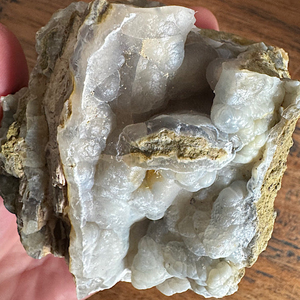 Versteend Hout Chalcedoon Indonesië Geagattiseerd Botryoidal agaat