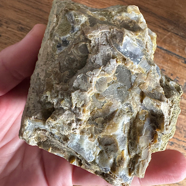 Versteend Hout Chalcedoon Indonesië Geagattiseerd Botryoidal agaat