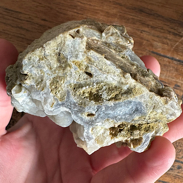 Versteend Hout Chalcedoon Indonesië Geagattiseerd Botryoidal agaat