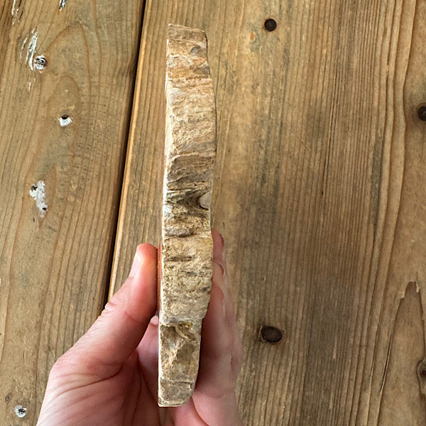 Versteend Hout Plak Madagaskar B fossiel kristallen mineralen