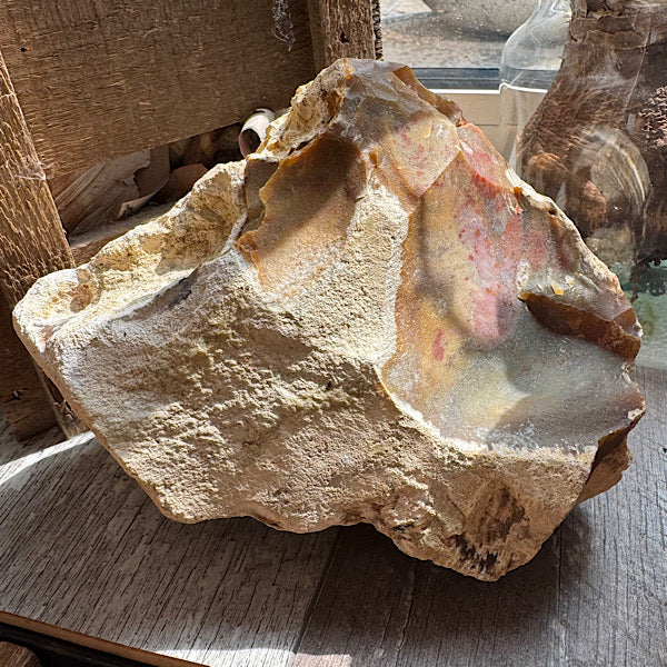 Versteend Koraal ruw Brok Indonesië edelstenenmineralenwinkel.nl zwaar brok van 3000 gram