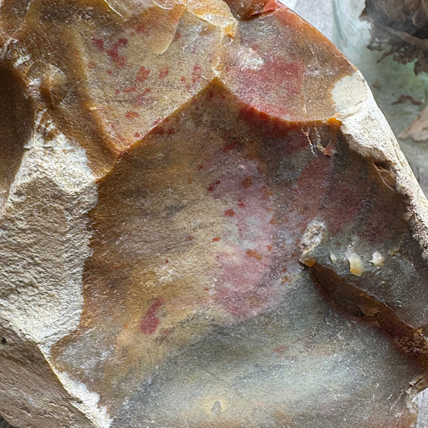 Versteend Koraal ruw Brok Indonesië van 3 kg