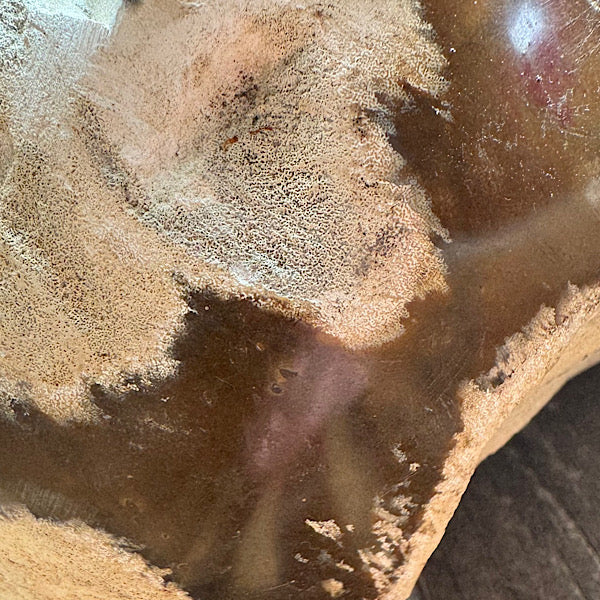 Versteend Koraal ruw Brok Indonesië van 3 kg